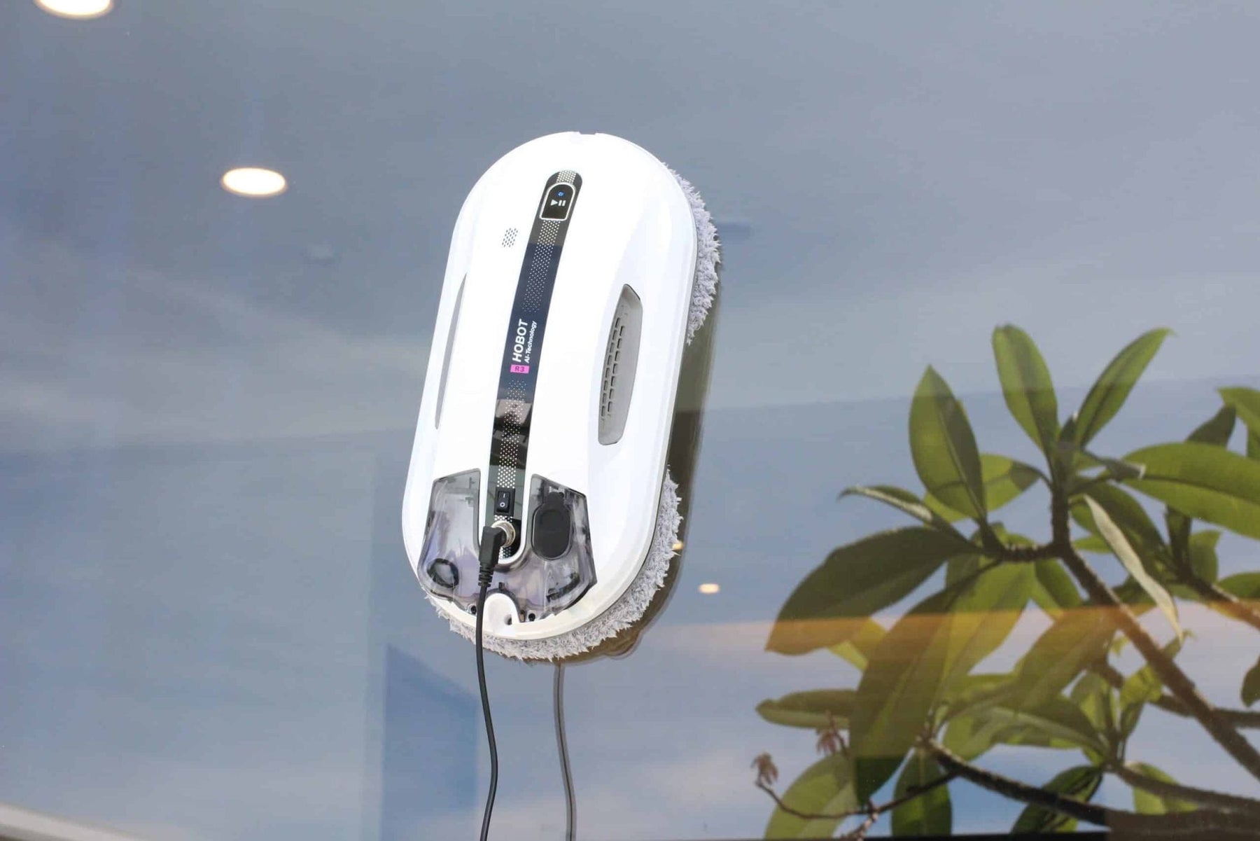 Are Robot Window Cleaners Safe? Hobot Safety, Explained