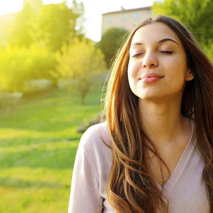 H13 HEPA Filter - What is it and how does it work? - Solenco South Africa