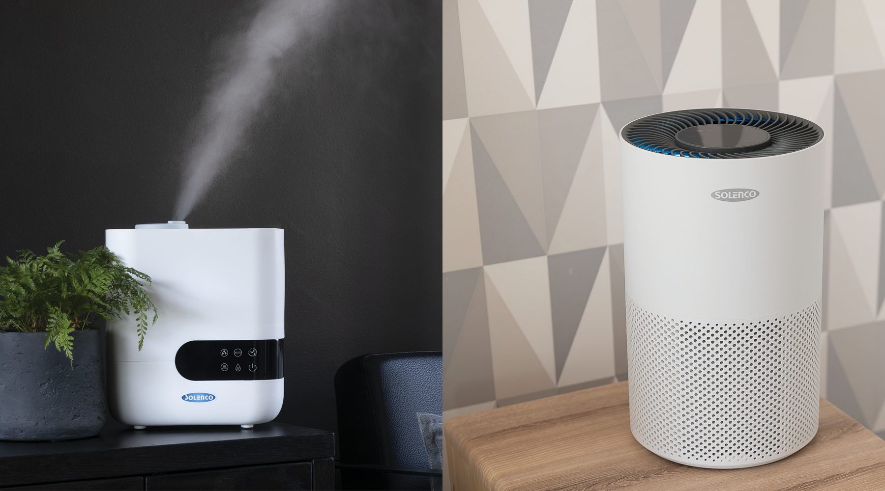 Humidifier vs Purifier – How to Pick the Right Option for Yourself