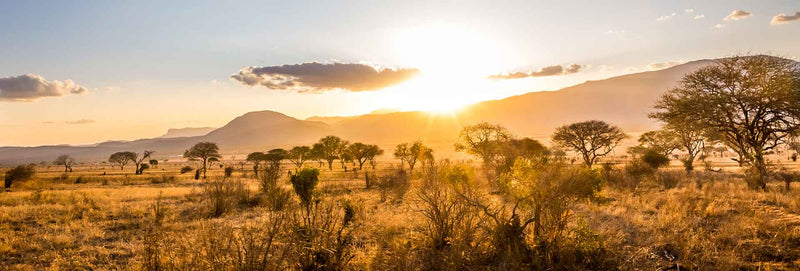 Desert Heat Fix - North West Summer Essentials