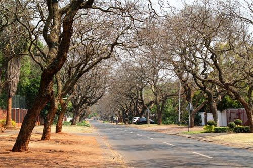 Warm & Dry Living - Pretoria Winter Essentials