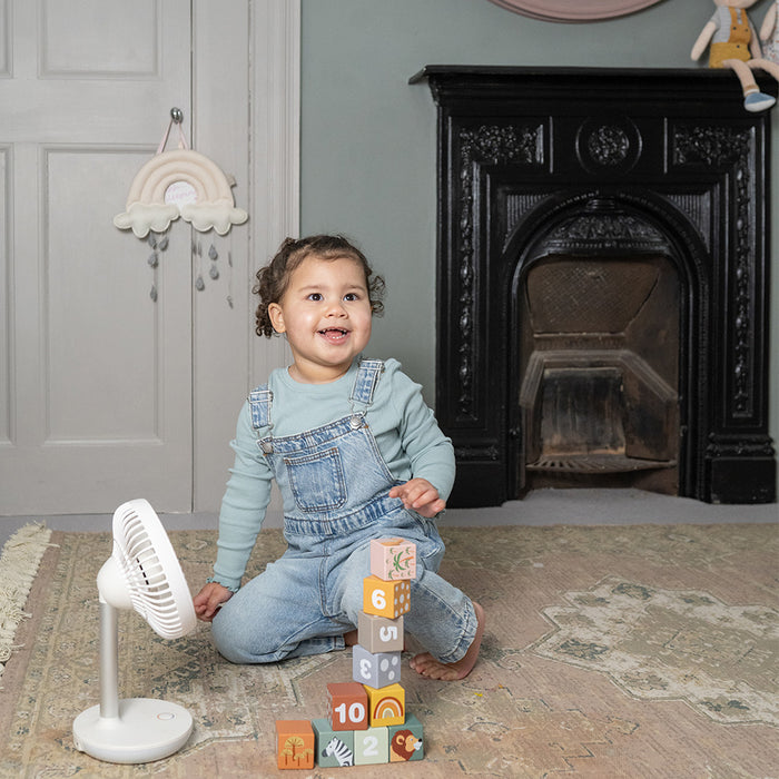 MeacoFan 260c Cordless Air Circulator