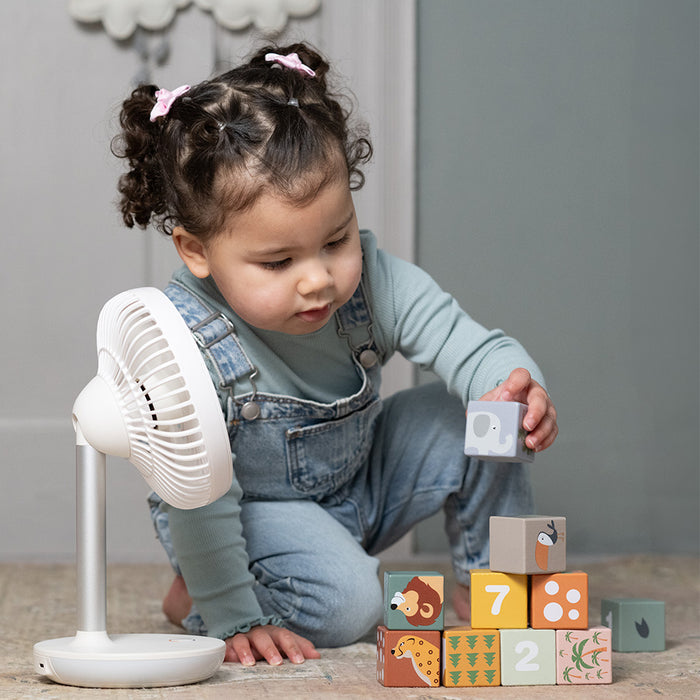 MeacoFan 260c Cordless Air Circulator